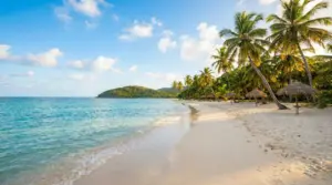 Spiaggia tropicale con palme, sabbia chiara e mare turchese calmo, ideale per vacanze con mare caldo e poca gente